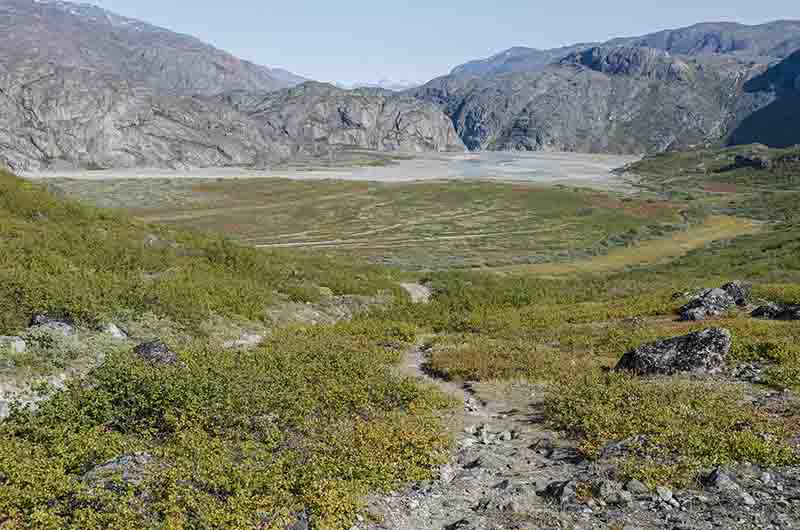 110 - Groenlandia - fiordo Tunulliarfik - Narsarsuaq - valle de las Mil Flores